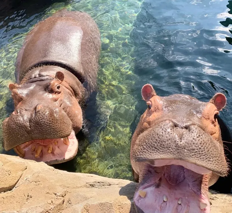 Cincinnati Zoo & Botanical Garden